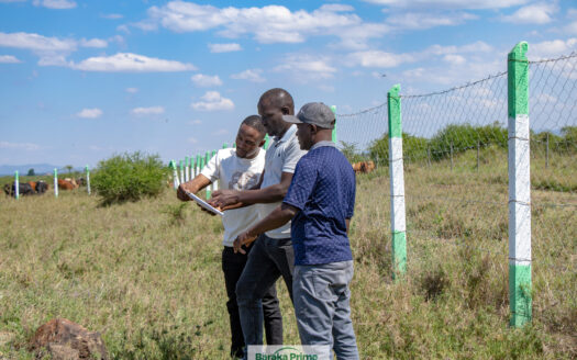 Affordable Ruiru Plots for Sale