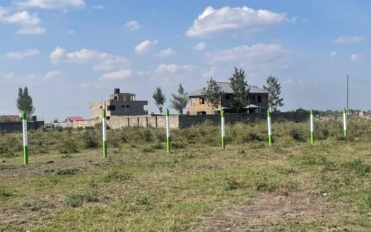 Baraka Prime gardens 2 plots showing the neighbourhood