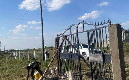 Baraka Prime Gardens II building the gate