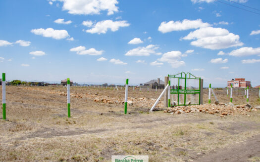 Affordable Plots in Ruiru kamakis by baraka prime