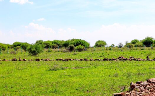 Baraka Gardens Phase 1 – Gikumari, Ruiru
